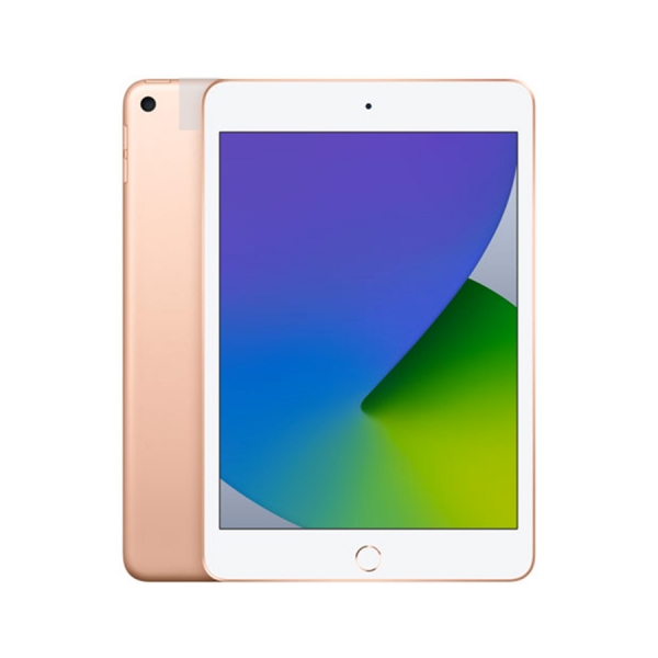 IPAD MINI 5 WIFI + 4G - 99%